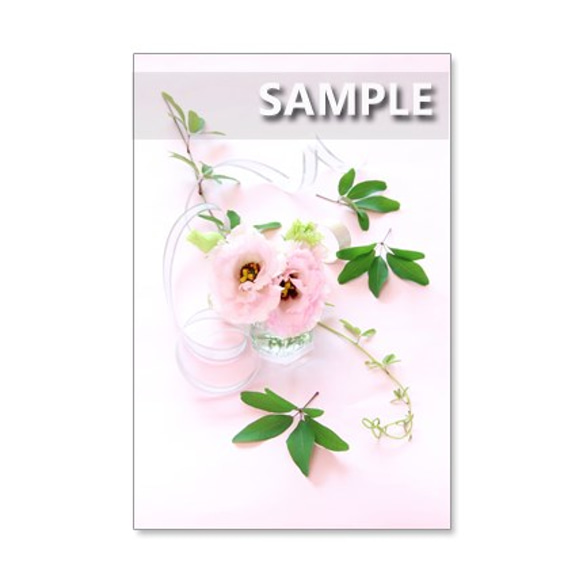 1038）ピンクのキュートな花たち　　　ポストカード5枚組 5枚目の画像