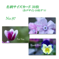 No.097 花のクローズアップ　　　名刺サイズサンキューカード   30枚 1枚目の画像