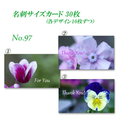 No.097 花のクローズアップ　　　名刺サイズサンキューカード   30枚 2枚目の画像