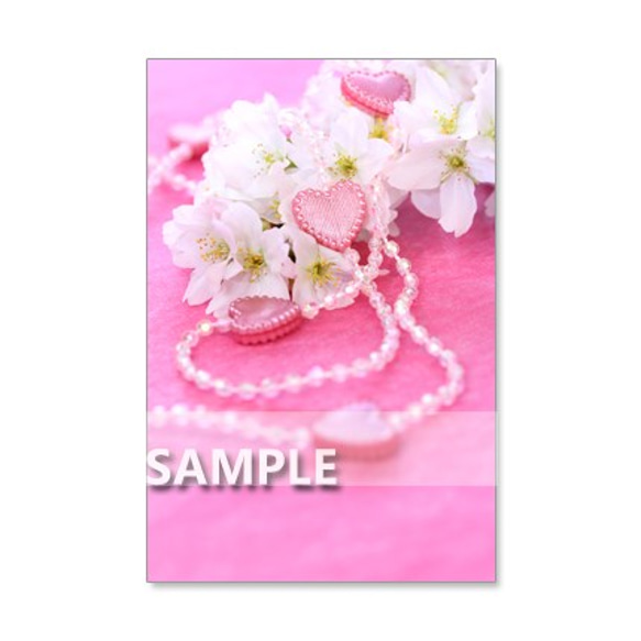 1042）春のキュートな花たち　　ポストカード5枚組 4枚目の画像
