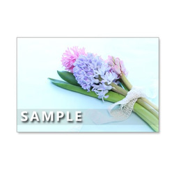 1042）春のキュートな花たち　　ポストカード5枚組 5枚目の画像