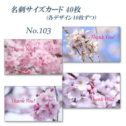 No.103 春爛漫の桜たちのカード　　名刺サイズサンキューカード   40枚 1枚目の画像