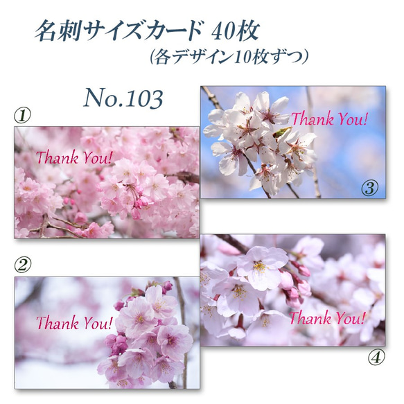 No.103 春爛漫の桜たちのカード　　名刺サイズサンキューカード   40枚 2枚目の画像