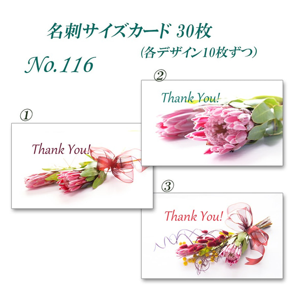 No.116  エキゾチックなプロテア（生花）　 名刺サイズカード　30枚 2枚目の画像