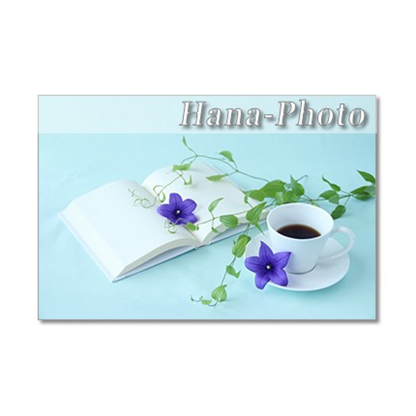 1411) コーヒーと花    ポストカード5枚組 2枚目の画像