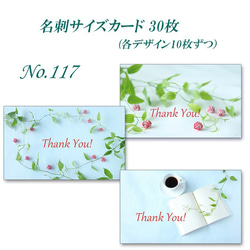 No.117  涼し気な利休草　 名刺サイズカード　30枚 1枚目の画像