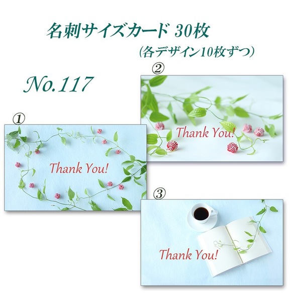 No.117  涼し気な利休草　 名刺サイズカード　30枚 2枚目の画像