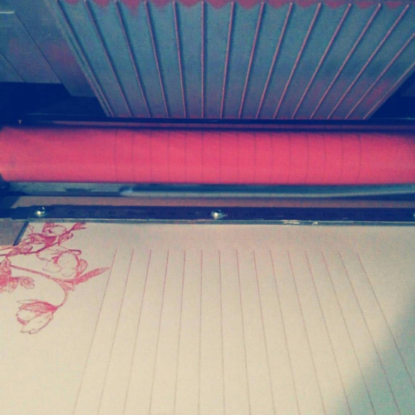 【信件套裝】聖誕玫瑰/6件信紙+3個信封 第5張的照片