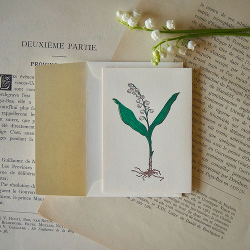 ᳪ������Ϋ�ー�ɡ��������/��ー��1��+����1�� / �������� ��ë�ー����ー�� botaniko press ����  1359953��Creema(����ー��)