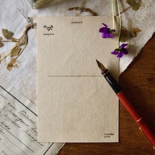 押し花のポストカード】アンティーク押し花 スミレ/95×148mm/活版印刷