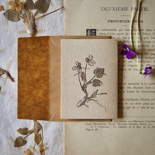 押し花のメッセージカード】アンティーク押し花 スミレ/カード1枚+封筒