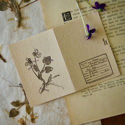 押し花のメッセージカード】アンティーク押し花 スミレ/カード1枚+封筒