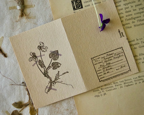 1_1206b3a19b1f79d309eb2bee70e1