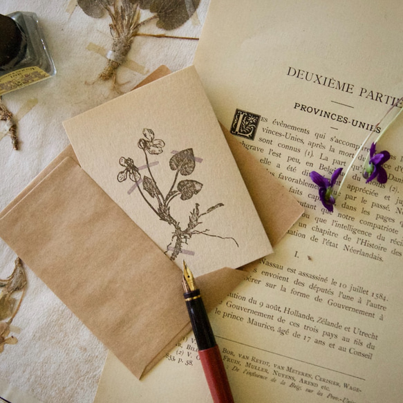 ���㪷���Ϋ�ë�ー����ー�ɡ�����ƫ�ー���㪷�� ���߫�/��ー��1��+����1��/�������� 3���ͪ�画��