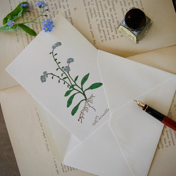 【花のグリーティングカード】ワスレナグサ/カード1枚＋封筒1枚/活版印刷 3枚目の画像