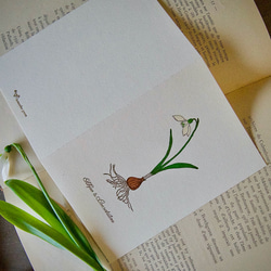 【花のグリーティングカード】スノードロップ/カード1枚＋封筒1枚/活版印刷 2枚目の画像