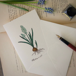 【花のグリーティングカード】ムスカリ/カード1枚＋封筒1枚/活版印刷 1枚目の画像