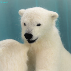 ホッキョクグマの双子の羊毛こぐま「雪玉で遊ぶ」 5枚目の画像