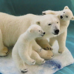 ホッキョクグマの母子「甘える双子」 10枚目の画像