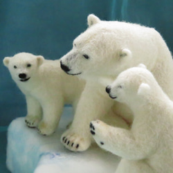 ホッキョクグマの母子「今日はゆっくり」 10枚目の画像