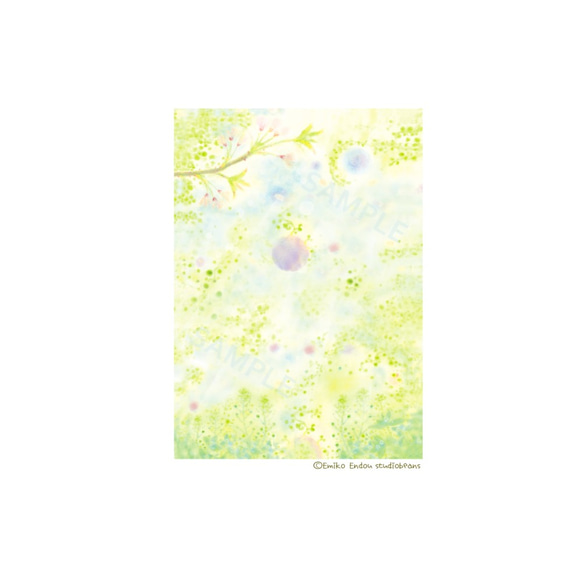 【選べるポストカード5枚セット】No.27 春のテーマ 1枚目の画像