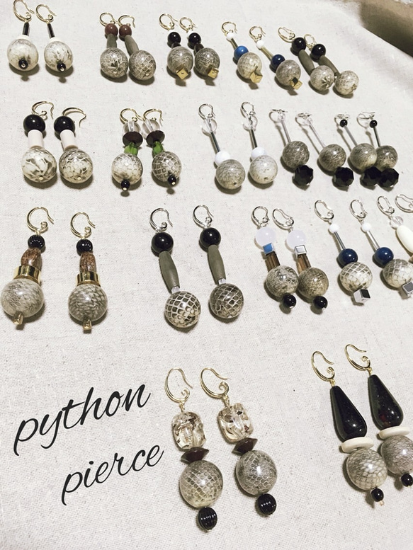 △python pierce 3 2枚目の画像