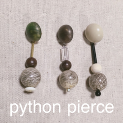 python pierce 003 2枚目の画像