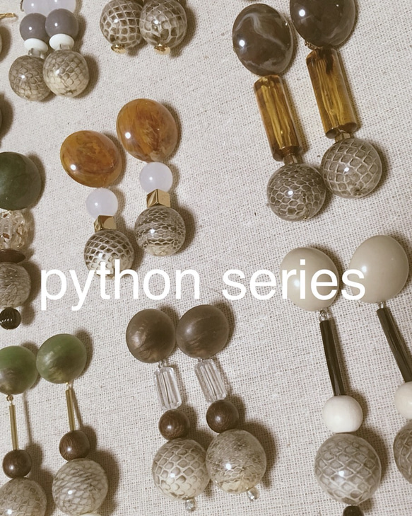 python pierce 003 3枚目の画像