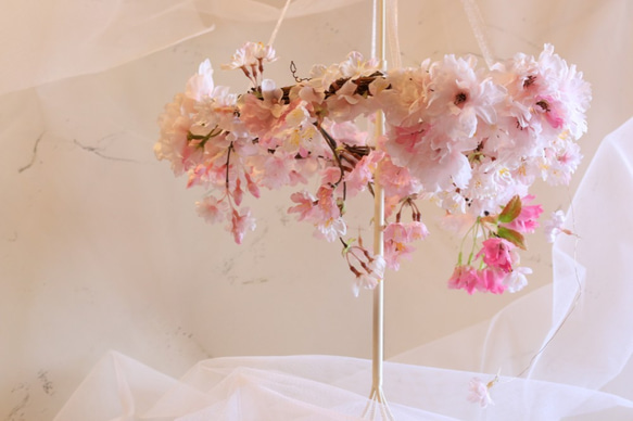 桜のフライングリース 3枚目の画像