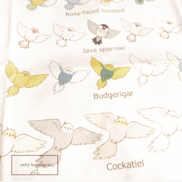 インコたちのTシャツ(セール中) 3枚目の画像