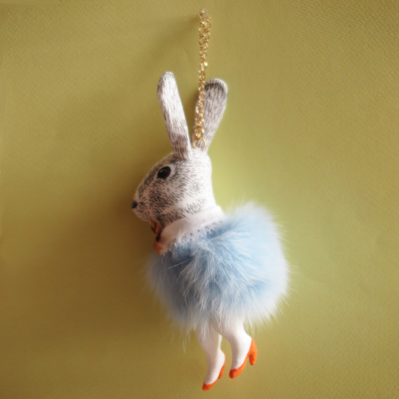 兔子魅力 - 淡藍色 第2張的照片