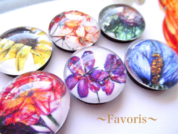 リバティ:フローラルイブ ガラス マグネット6個セット マグネット