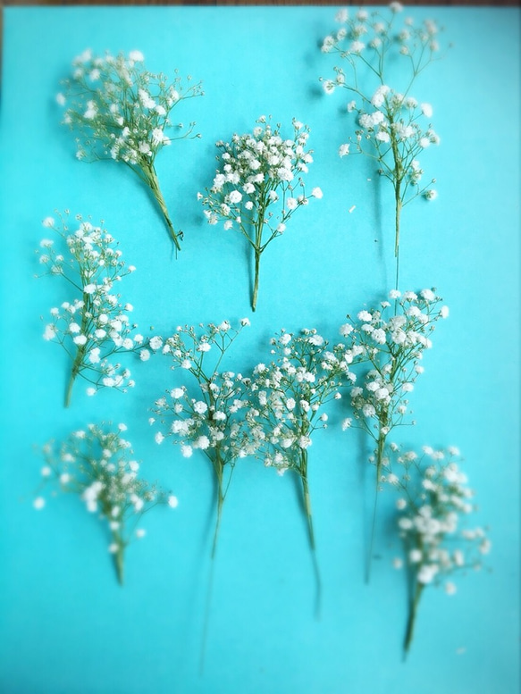 かすみ草 生花のヘッドピース ヘッドドレス（ウェディング