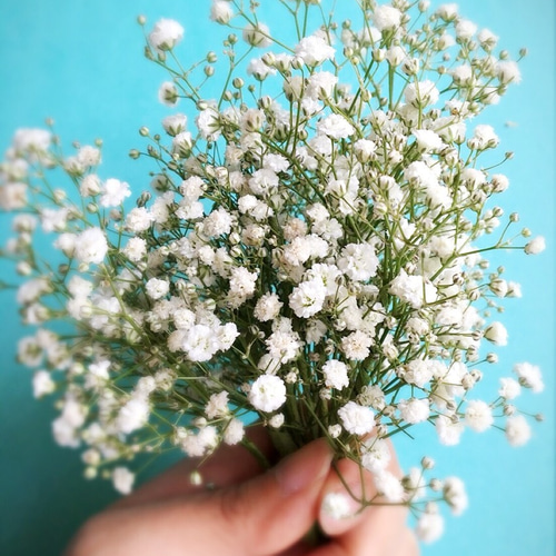 かすみ草 生花のヘッドピース ヘッドドレス（ウェディング