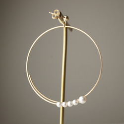 14kgf 耳環或耳環 ◇ 金圈小珍珠，金屬防過敏，鍍金<h16> 第5張的照片
