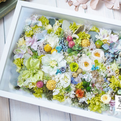 《special day gift》happy colorful preservrd flowers art frame 第1張的照片