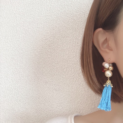 EARRING:「Japan」 trip 4枚目の画像