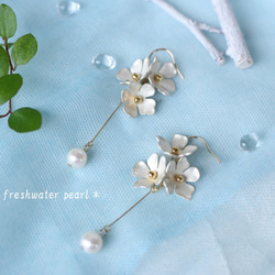 【Creema限量加分】*14kgf *女性耳環配漂亮的銀白色花朵和淡水珍珠*可換耳環 第2張的照片