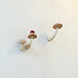 アロマキノコ３本とテントウムシ（平い頭のキノコ） 4枚目の画像