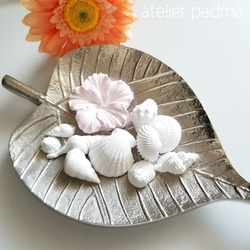 可愛い小さなシェル20個アロマストーン