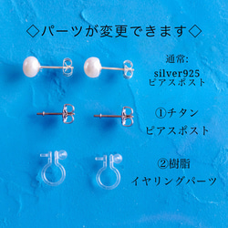 【Creema限定】〈しずく&melt〉選べるイヤーカフ×パールセット 《送料無料》新春福袋 9枚目の画像