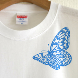 リアルかわいい蝶Tシャツ●オオゴマダラ【アダルトサイズ】 3枚目の画像