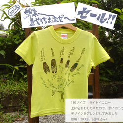 セール品！！沖縄のセミ5種　キッズＴシャツ（ライトイエロー・110サイズ・送料込み） 1枚目の画像