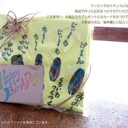 リアルかわいい昆虫Tシャツ　沖縄のセミ5種キッズ（カラー：ナチュラル・お名前入れできます！） 8枚目の画像
