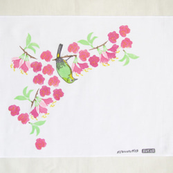 【サクラ手ぬぐい　ハンカチサイズ】　沖縄の桜、ヒカンザクラとメジロ 1枚目の画像