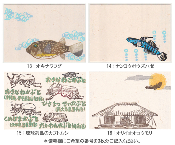 沖縄の生き物　ポストカード3枚セット 4枚目の画像