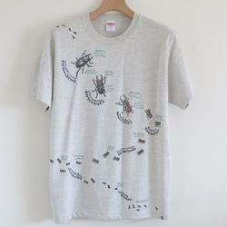 リアルかわいい昆虫Tシャツ　沖縄のクワガタ7種（アダルトサイズ・お名前入れできます） 1枚目の画像