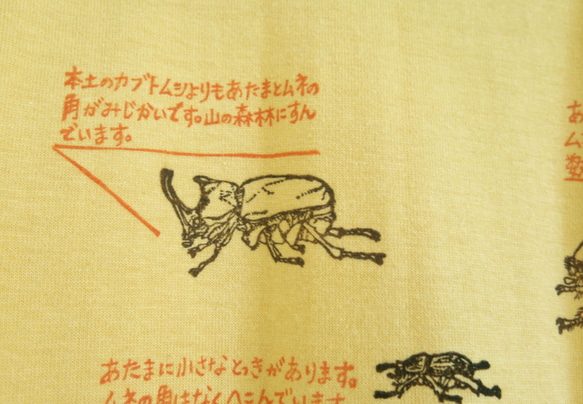 　沖縄のカブトムシ5種　キッズＴシャツ（お名前入れできます！） 5枚目の画像