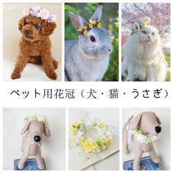 【10周年記念・Creema限定価格】ペット用花冠（小型犬・猫・うさぎの撮影用） 1枚目の画像