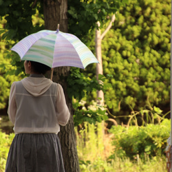 遮陽傘和雨傘“如果你等待，石灰的好天氣”（和服和衣服）” 第1張的照片